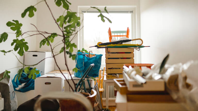 Cardboard boxes in room