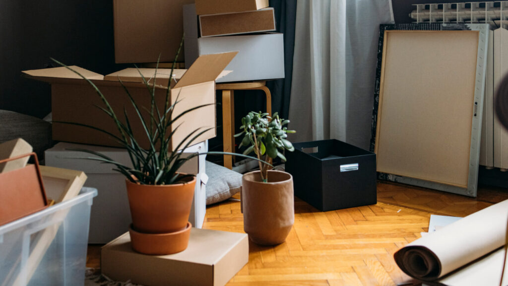 Moving in: Living Room Corner Filled with Cardboard Boxes and Containers- Still Life